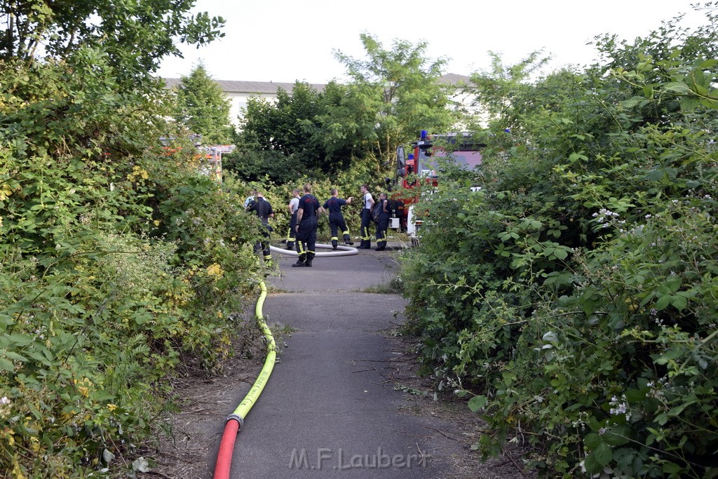 Waldbrand Koeln Hoehenhaus Hoehenfelder Mauspfad P164.JPG - Miklos Laubert